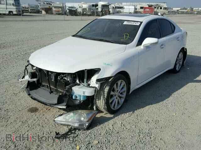 2010 LEXUS IS250 - VIN: JTHBF5C26A2096951 - Фото 2