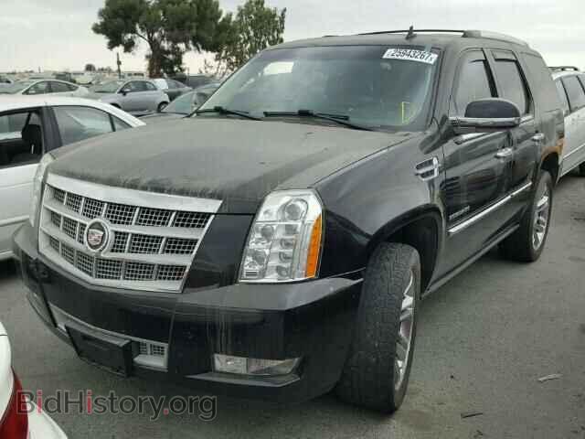 2011 CADILLAC ESCALADE - VIN: 1GYS3DEF7BR319389 - Фото 2