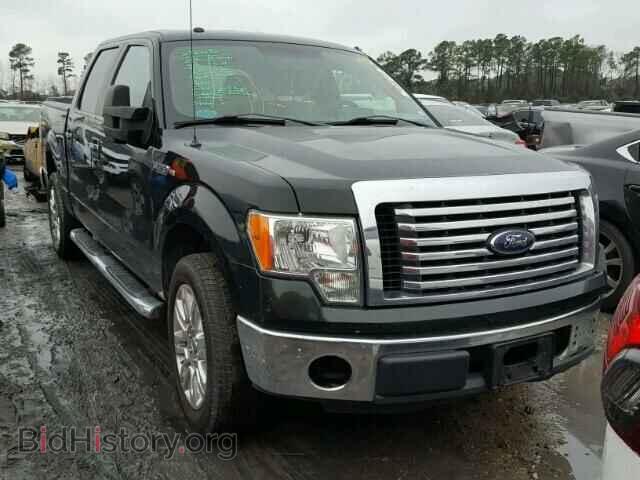 Фотография 1FTFW1CF2CFC95134 - FORD F150 2012