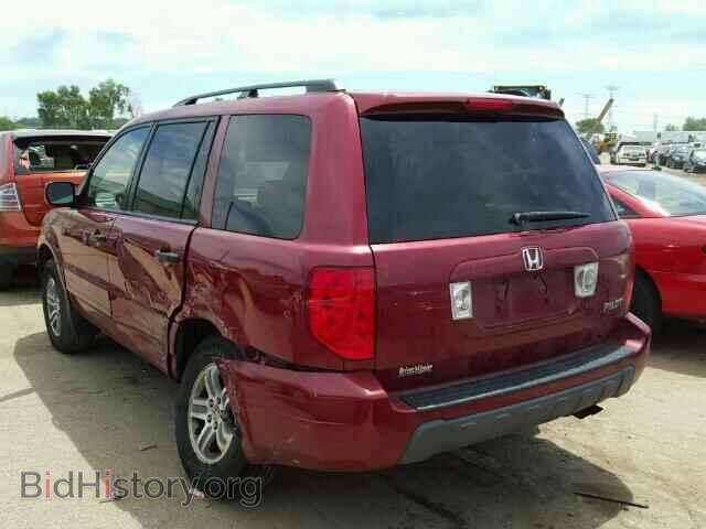 2005 HONDA PILOT - VIN: 5FNYF18505B009457 - Фото 3