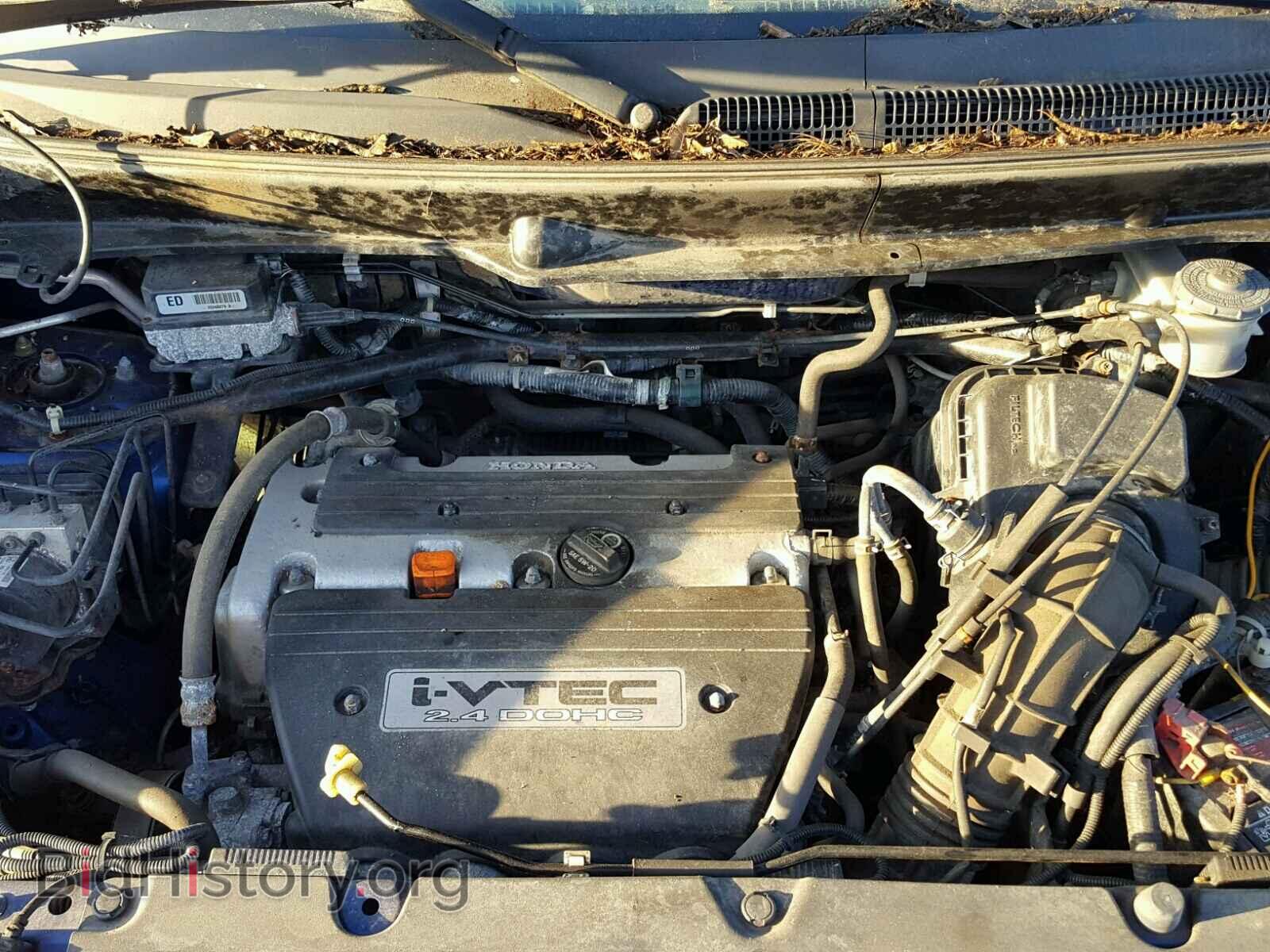 2005 HONDA ELEMENT - VIN: 5J6YH18695L010262 - Фото 7