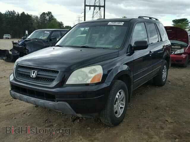 2005 HONDA PILOT - VIN: 5FNYF18505B038117 - Фото 2
