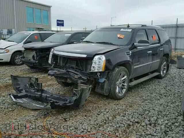 2011 CADILLAC ESCALADE - VIN: 1GYS4DEF2BR373387 - Фото 2
