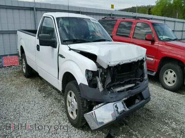 Фотография 1FTMF1CM8DKE22967 - FORD F150 2013