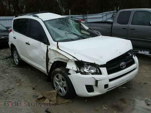Photo 2T3BF4DV7BW117173 - TOYOTA RAV4 2011