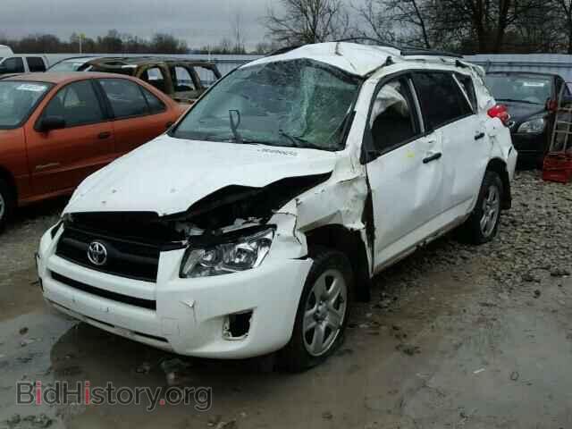 2011 TOYOTA RAV4 - VIN: 2T3BF4DV7BW117173 - Фото 2