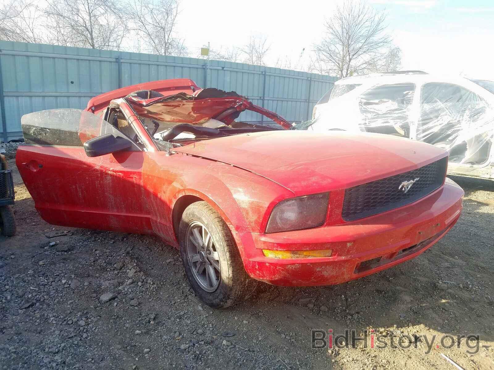 Photo 1ZVFT80N965101770 - FORD MUSTANG 2006