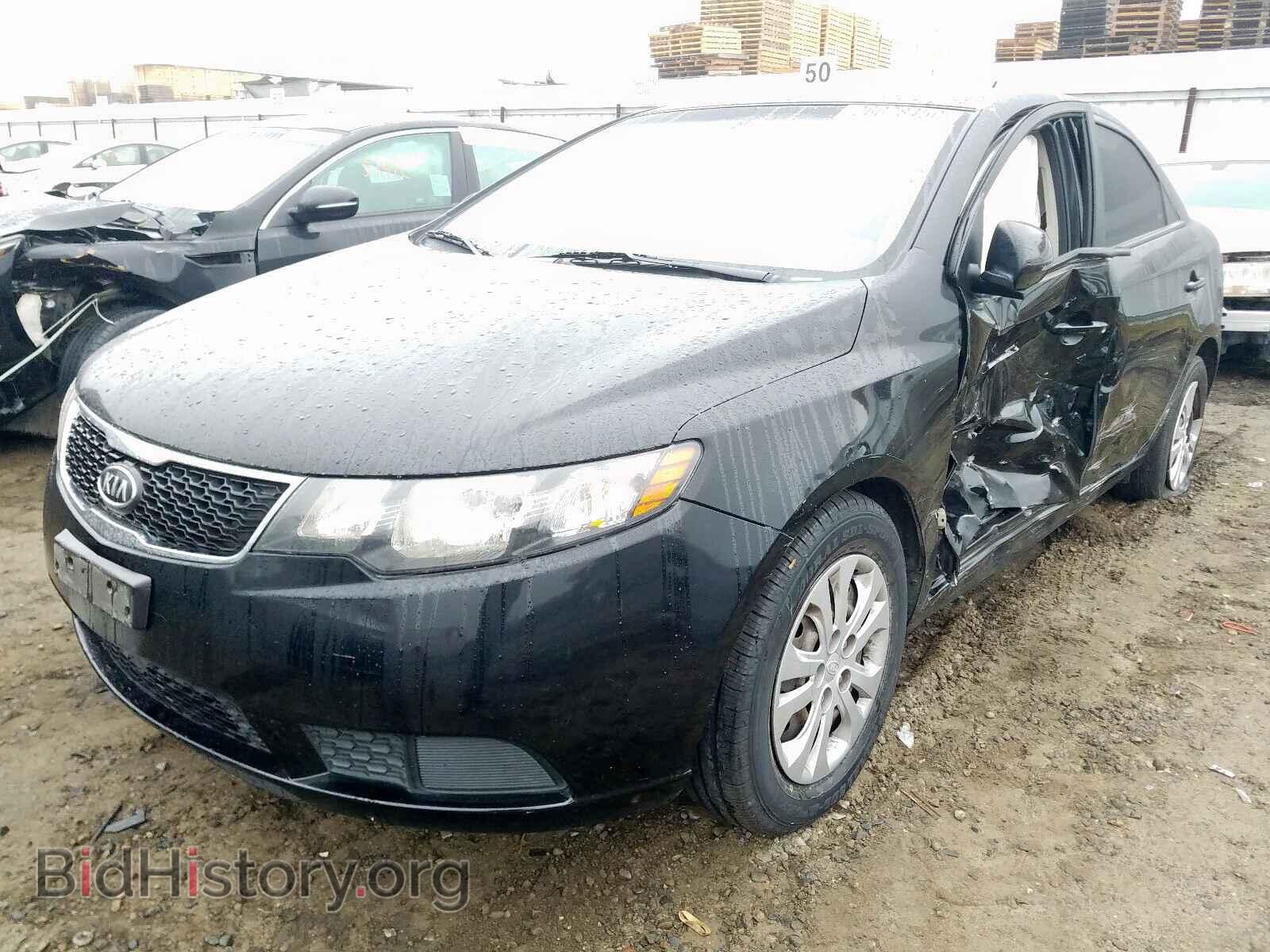 2013 KIA FORTE EX - VIN: KNAFU4A29D5676183 - Фото 2