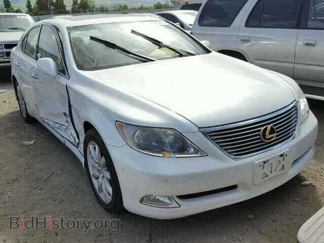 Фотография JTHBL46F085083543 - LEXUS LS460 2008