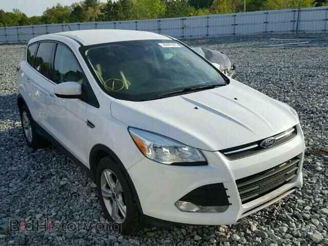 Фотография 1FMCU0GX8DUA74202 - FORD ESCAPE 2013