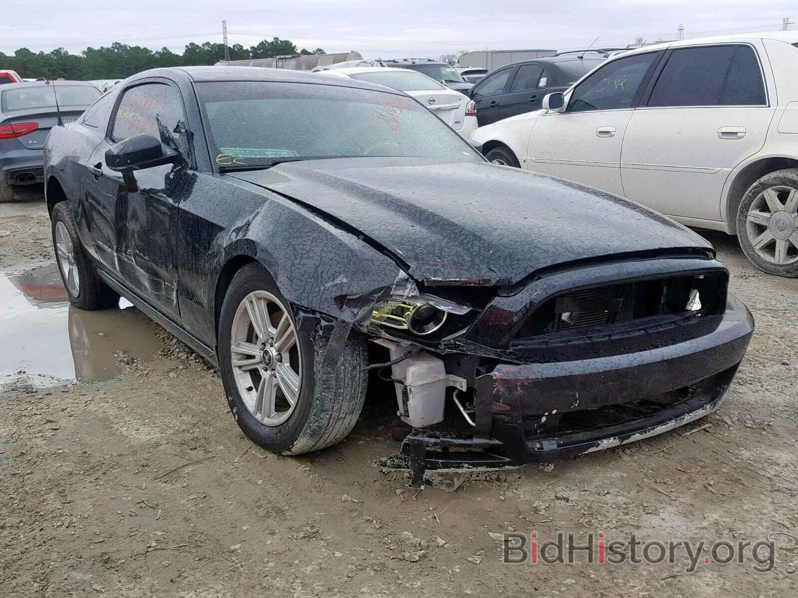Photo 1ZVBP8AM4E5230944 - FORD MUSTANG 2014
