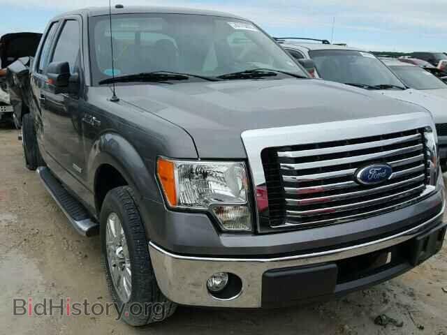 Фотография 1FTFX1CT8BFB02485 - FORD F150 2011