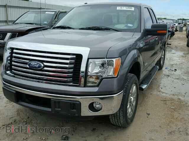 2011 FORD F150 - VIN: 1FTFX1CT8BFB02485 - Фото 2