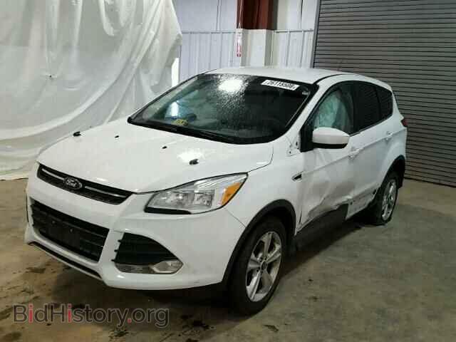 2013 FORD ESCAPE - VIN: 1FMCU0GX7DUB85355 - Фото 2