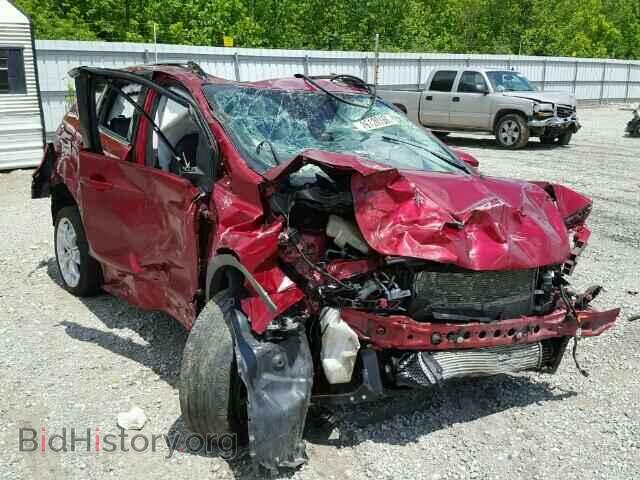 Фотография 1FMCU0J9XDUB90334 - FORD ESCAPE 2013