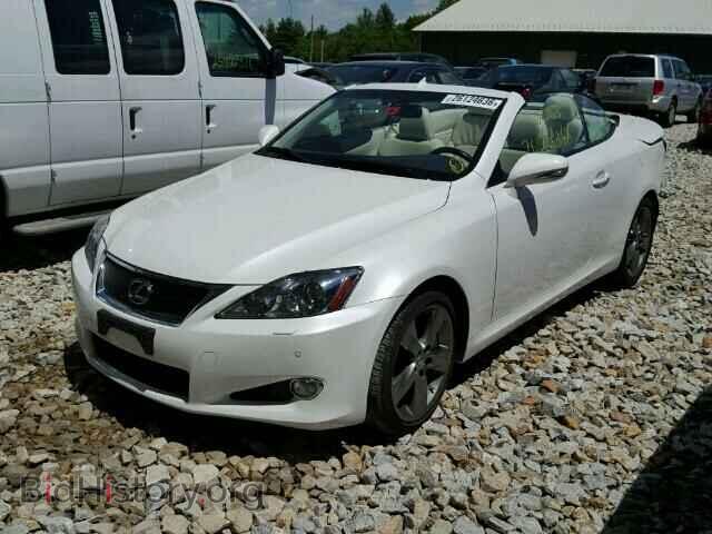 2010 LEXUS IS350 - VIN: JTHFE2C29A2503941 - Фото 2