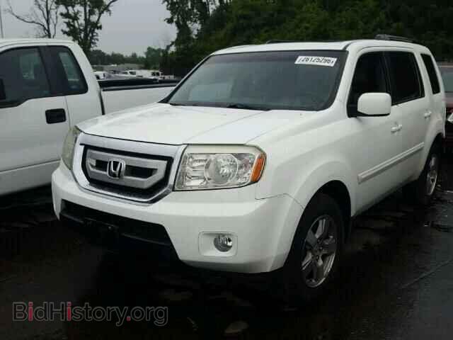 2009 HONDA PILOT - VIN: 5FNYF48629B050575 - Фото 2
