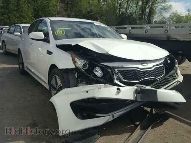 Фотография KNAGM4AD8C5035563 - KIA OPTIMA 2012