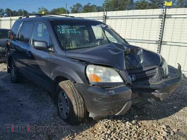 Photo 5FNYF18495B005091 - HONDA PILOT 2005