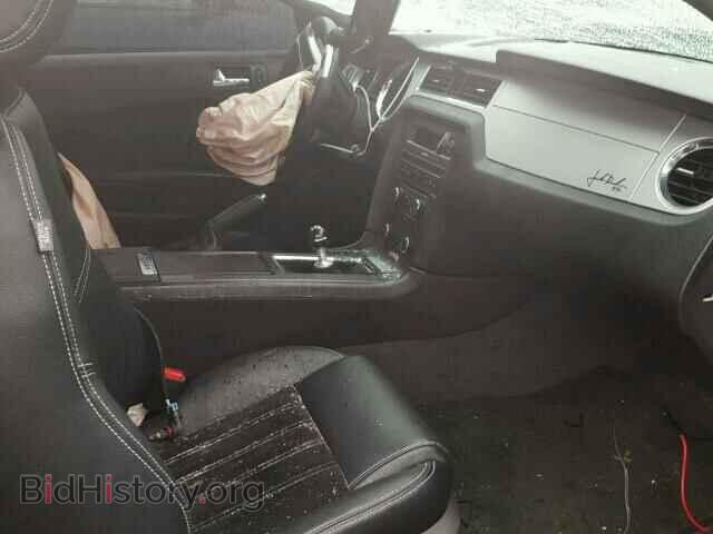 2013 FORD MUSTANG - VIN: 1ZVBP8CF1D5234558 - Фото 5