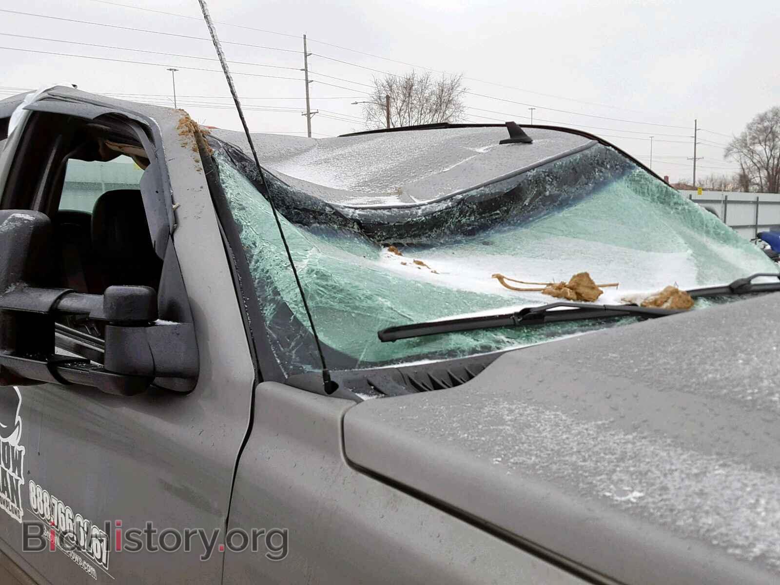 2006 CHEVROLET SILVERADO - VIN: 1GCHK29D96E233210 - Фото 9
