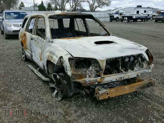 Photo JTEBU14R568066528 - TOYOTA 4RUNNER 2006