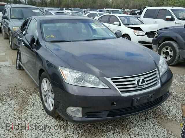 Фотография JTHBK1EG1A2363331 - LEXUS ES350 2010