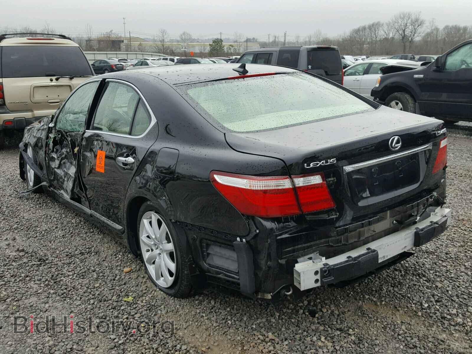 2009 LEXUS LS460 - VIN: JTHBL46F995088676 - Фото 3
