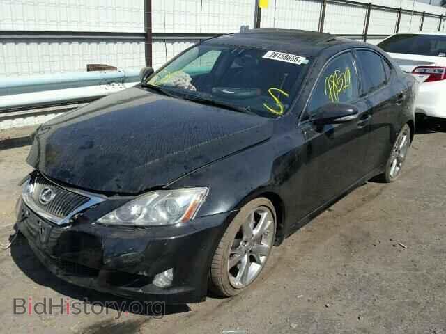 2010 LEXUS IS250 - VIN: JTHBF5C28A5120388 - Фото 2