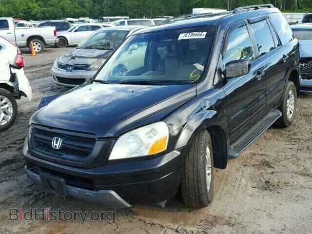 2005 HONDA PILOT - VIN: 5FNYF18565B067556 - Photo 2