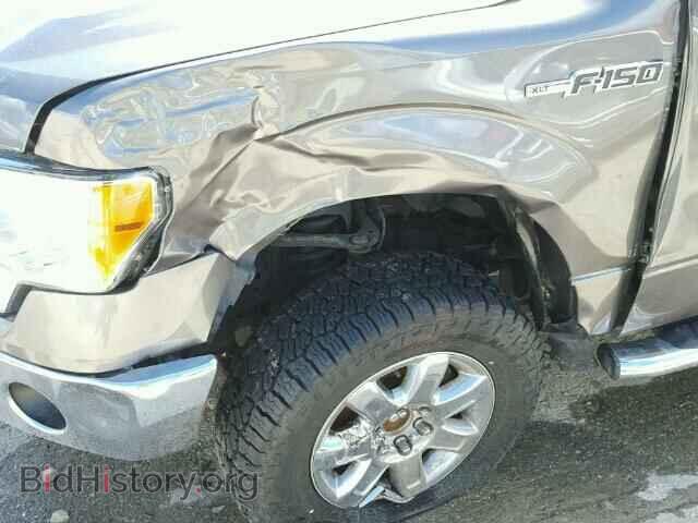 2014 FORD F150 - VIN: 1FTFX1EF0EFC65174 - Фото 9