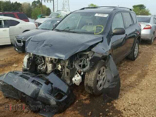 2011 TOYOTA RAV4 - VIN: 2T3BF4DV8BW120616 - Photo 2