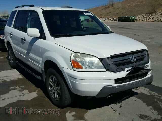 Photo 5FNYF18655B009186 - HONDA PILOT 2005