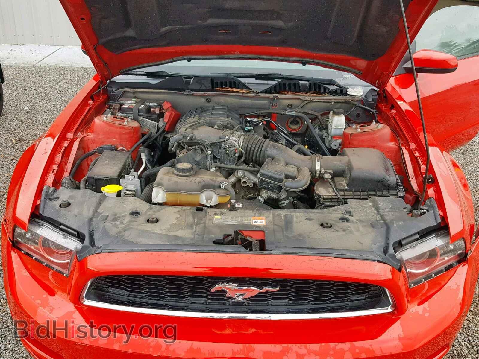 2014 FORD MUSTANG - VIN: 1ZVBP8AM4E5296894 - Фото 7