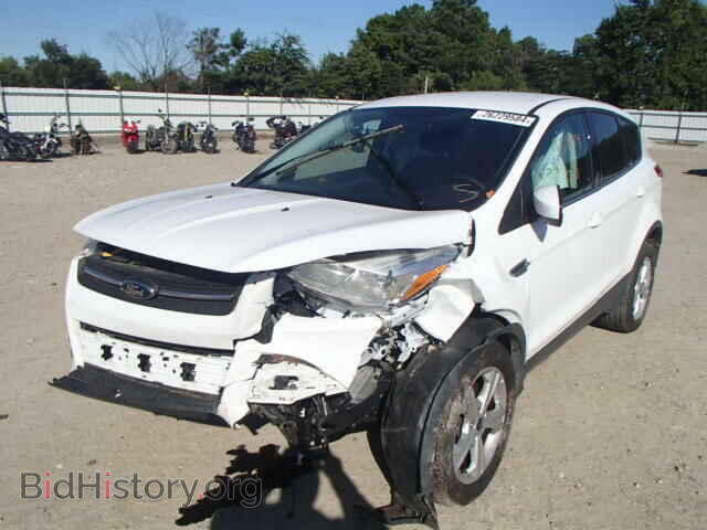 2013 FORD ESCAPE - VIN: 1FMCU9G94DUC72670 - Photo 2