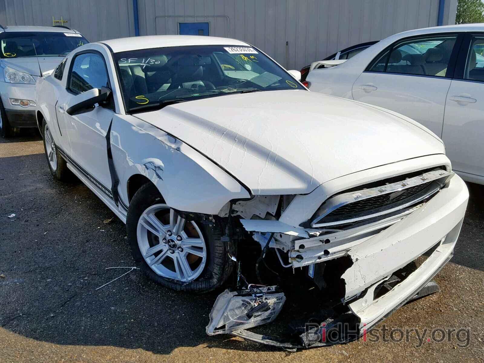 Photo 1ZVBP8AM5D5224875 - FORD MUSTANG 2013