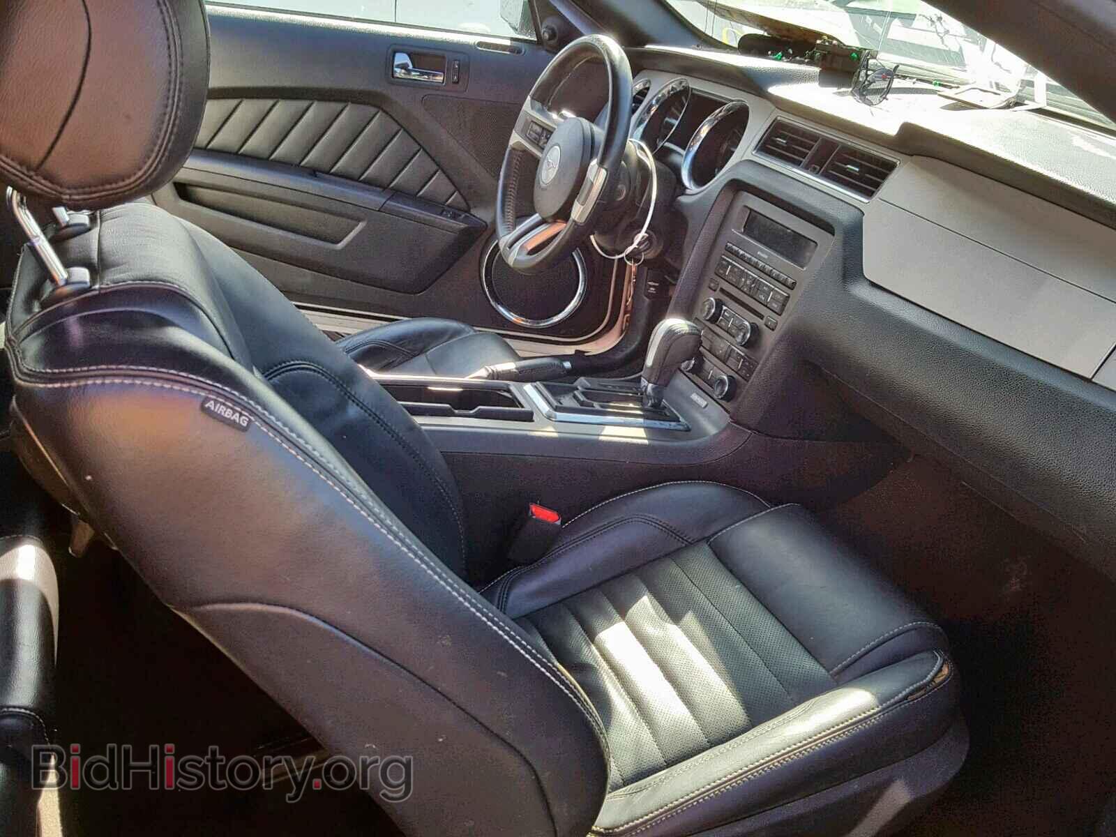 2013 FORD MUSTANG - VIN: 1ZVBP8AM5D5224875 - Фото 5