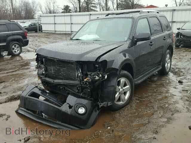 2011 FORD ESCAPE - VIN: 1FMCU0EG8BKB90379 - Фото 2