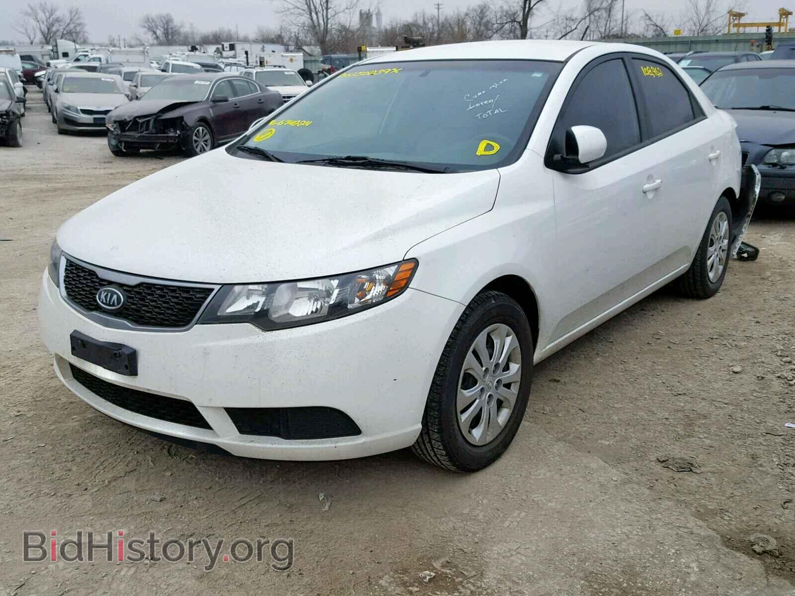 2013 KIA FORTE - VIN: KNAFT4A25D5674224 - Фото 2