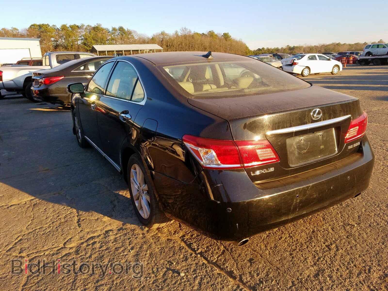 2010 LEXUS ES350 - VIN: JTHBK1EG3A2371608 - Фото 3