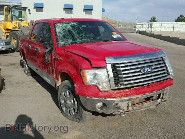 Фотография 1FTFW1EV3AKE59886 - FORD F150 2010