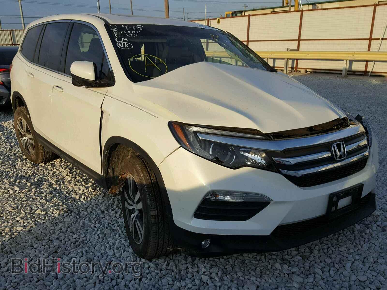Photo 5FNYF5H59HB020260 - HONDA PILOT 2017