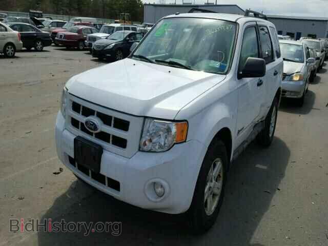 2009 FORD ESCAPE - VIN: 1FMCU49329KC41447 - Фото 2