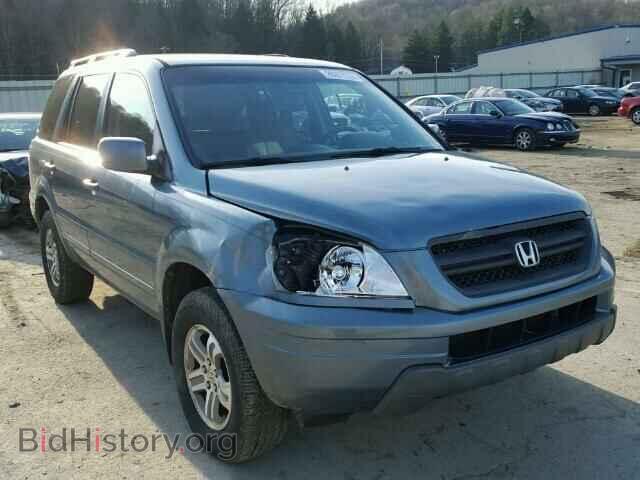 Photo 5FNYF18485B037031 - HONDA PILOT 2005