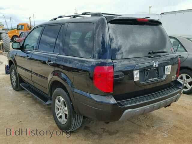 2005 HONDA PILOT - VIN: 5FNYF18455B048679 - Фото 3