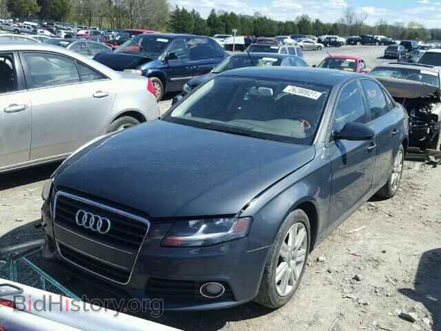 2010 AUDI A4 - VIN: WAUAFAFL8AN001764 - Фото 2