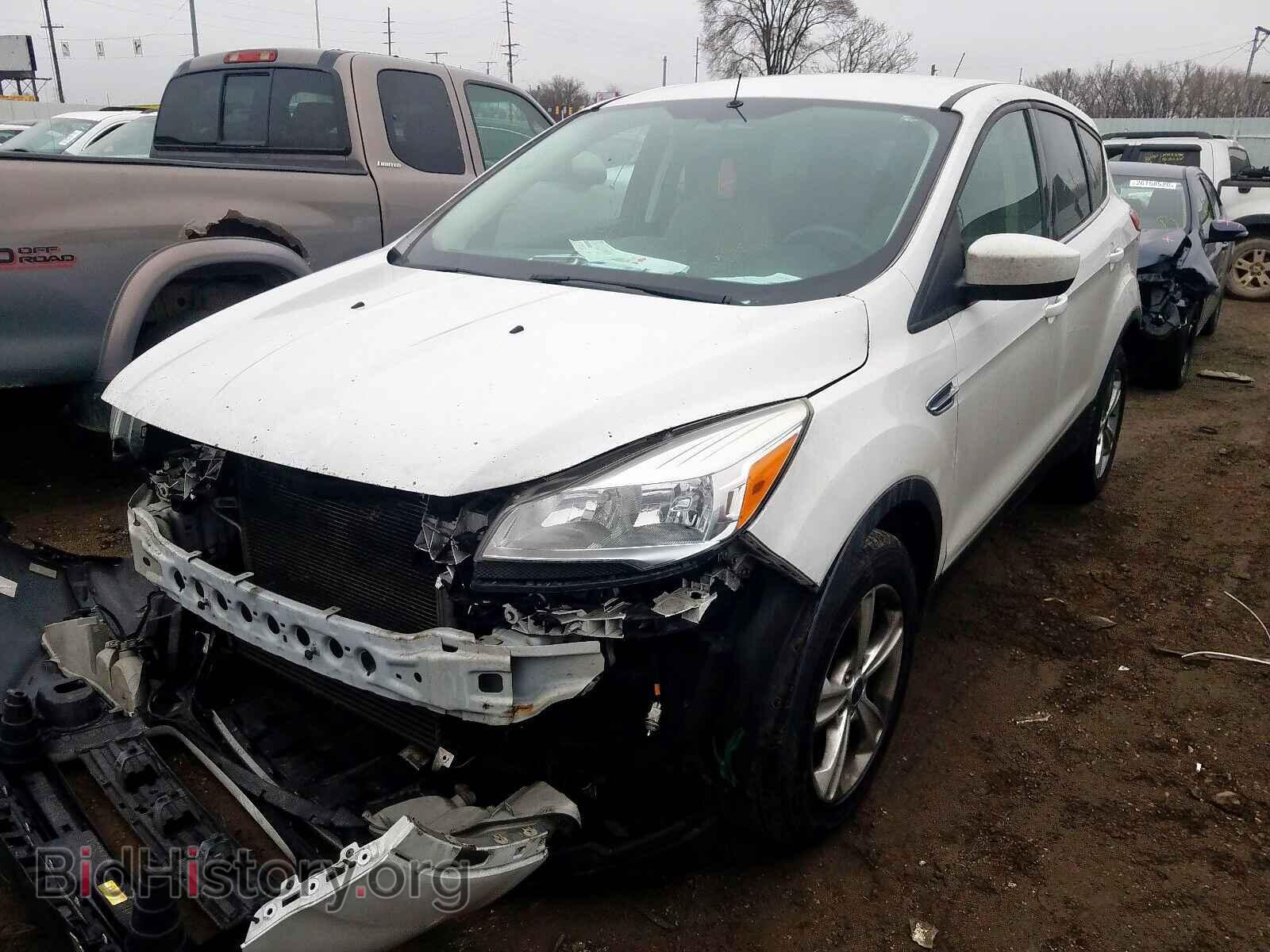 2013 FORD ESCAPE - VIN: 1FMCU0GX3DUA74169 - Фото 2