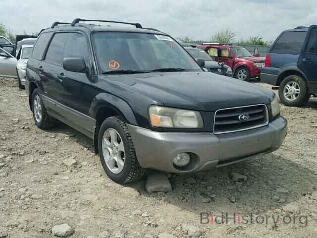 Photo JF1SG65663H770090 - SUBARU FORESTER 2003