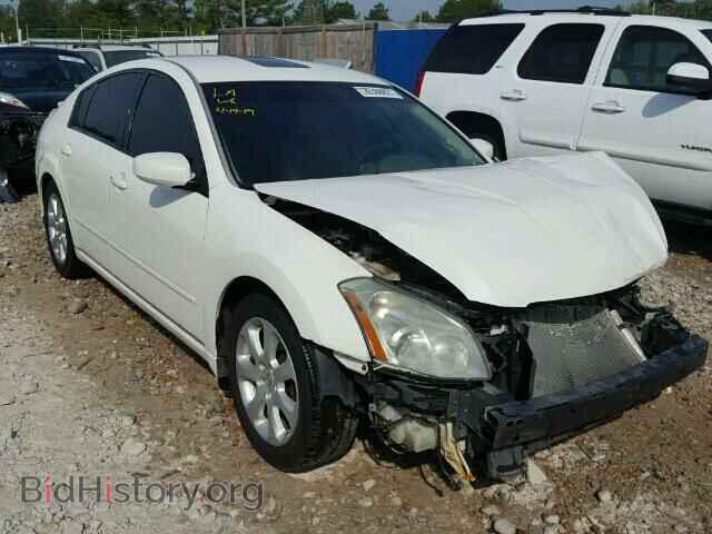Photo 1N4BA41E08C831022 - NISSAN MAXIMA 2008