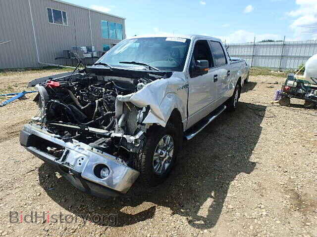 2011 FORD F150 - VIN: 1FTFW1EF7BFA01898 - Фото 2